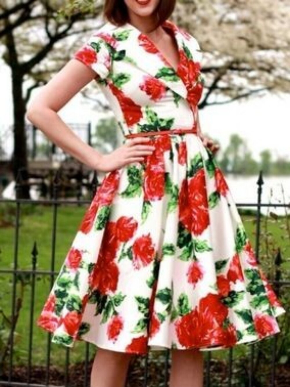 Pinup Couture Birdie Dress - Red Rose Print